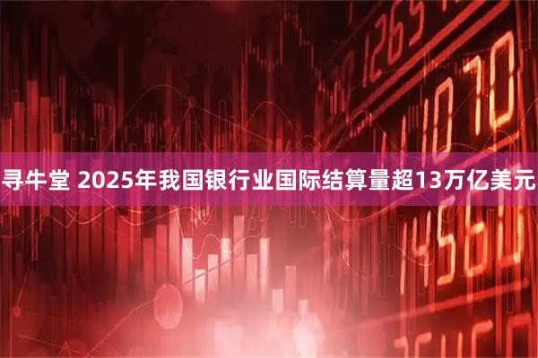 寻牛堂 2025年我国银行业国际结算量超13万亿美元