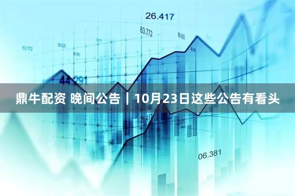 鼎牛配资 晚间公告｜10月23日这些公告有看头